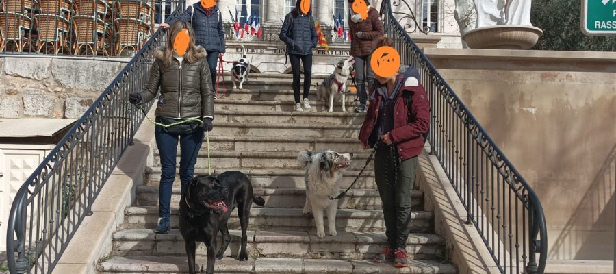 Balades Dog ethik